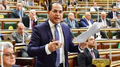 رئيس برلمانية الجبهة الوطنية: مصر تقف مع أمن الخليج بلا تردد