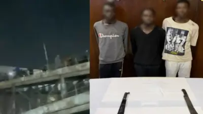 القبض على أجانب بعد مشاجرة بالأسلحة البيضاء في المرج أدت إلى وفاة وإصابة