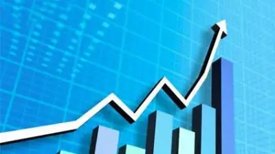 برلمانية: الاستثمارات الصناعية الكبرى محور حاسم لتعزيز قوة الاقتصاد المصري