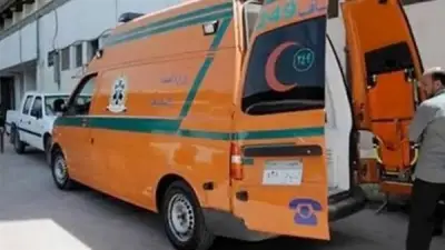 أزمة نفسية تدفع سيدة بالدقهلية لمحاولة إنهاء حياتها بتناول مبيد حشرى