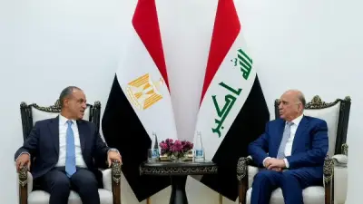 وزير الخارجية المصري يؤكد على الاتصالات العاجلة لوقف العدوان الإسرائيلي على لبنان