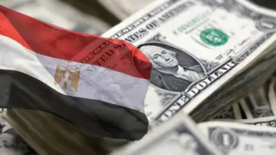 مقترحات برلمانية عاجلة لمواجهة أزمة ديون مصر: بين تبرعات المقتدرين وتحفيز المغتربين