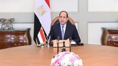 السيسي يوجه بتعزيز الاستثمارات الأجنبية في تجارة التجزئة وزيادة الإنتاجية الزراعية