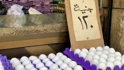 شم النسيم يفقد ألوانه: البيض يتحول من طقس احتفالي إلى بند في قائمة الحسابات