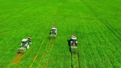 برلماني: الأمن الغذائي قضية أمن قومي وليس خدمة اقتصادية.. ومشروعات كبرى تدعم الاكتفاء الذاتي