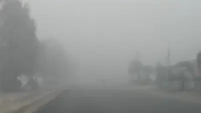 الأرصاد تحذر من شبورة كثيفة على طرق رئيسية غداً مع ارتفاع درجات الحرارة