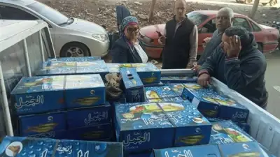 القليوبية تضبط طن رنجة وفسيخ غير صالحين وسلع مجهولة المصدر في حملات مكثفة قبل شم النسيم