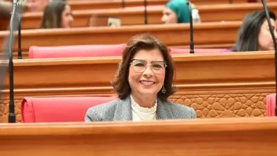 تضامن النواب تعلن عن جلسات استماع لدراسة أسباب العنف الأسري استجابة لتوجيهات السيسي