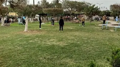 الأوقاف: الاحتفال بشم النسيم جائز شرعًا بضوابط محددة وعدم اعتباره عيدًا دينيًا