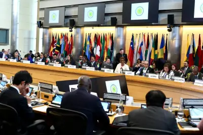 وزير الخارجية: استقرار الطاقة والإنفاق الاجتماعي أولويات قصوى للدول الإفريقية