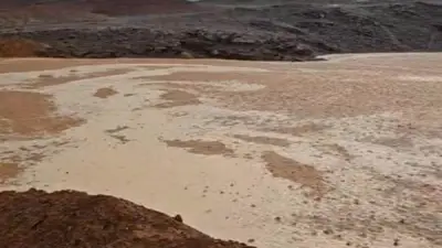 وزير الزراعة يوجه بتقديم دعم فني عاجل لمتضرري السيول بوادي سعال بسانت كاترين