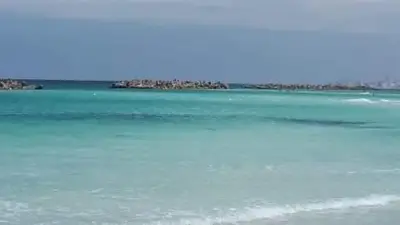 السياحة والمصايف تنفي شائعات فتح شاطئ النخيل وتؤكد إغلاقه لحماية المواطنين