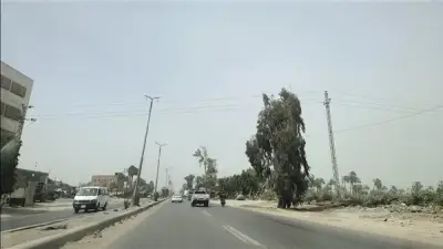 طقس متقلب ورياح محملة بالأتربة تضرب محافظة الدقهلية وتؤثر على الرؤية