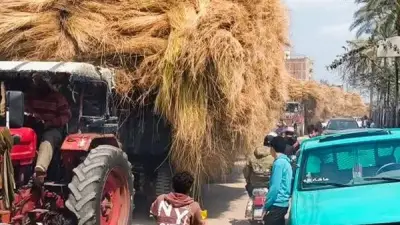 مصرع شاب في حادث تصادم مع جرار زراعي بكوبري الرباط بالغربية