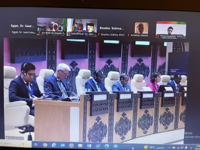 مصر تترأس منظمة الفاو في دعم منظومة الأمن الغذائي العالمي