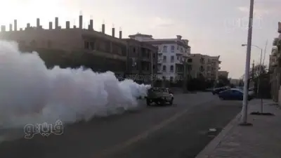 حملة مكثفة لرش المبيدات الحشرية في بني سويف الجديدة للقضاء على البعوض