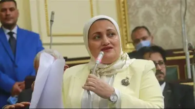 برلمانية تهاجم الحكومة بشدة بسبب أزمة قراءة العدادات الكودية وتطبيق الأسعار بأثر رجعي