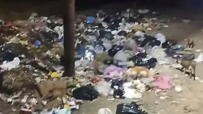 محافظ الشرقية يأمر برفع تراكمات القمامة من قرية الشوبك بسطة فوراً