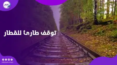 توقف قطار طارئ لإنقاذ سيدة تلد.. سائق يتحرك بإنسانية في محطة طنطا