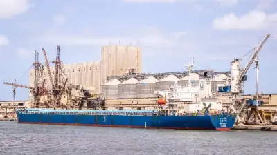 أمين البحوث الإسلامية يهنئ الشيخ أيمن عبد الغني بتكليفه بوكالة الأزهر والدكتور الشرقاوي برئاسة قطاع المعاهد