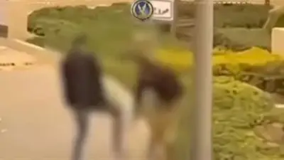 الحكم غدًا في استئناف رجل الأعمال المتهم بالاعتداء على حارس أمن بالتجمع الخامس