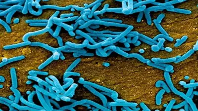 تحذير صحي عاجل في أمريكا: فيروس RSV يتفوق على الإنفلونزا وكورونا في معدلات الإصابات