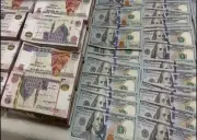 القبض على عنصر إجرامي غسل 100 مليون جنيه من تجارة المخدرات