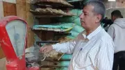 تموين المنيا يحرر 229 مخالفة ويضبط ألبان فاسدة في حملات على المخابز والأسواق