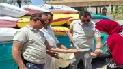 كفر الشيخ تواصل توريد القمح المحلي.. 28.6 ألف طن إجمالي المستلم