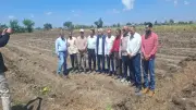 تسليم أراضٍ لإنشاء 3 محطات صرف صحي جديدة في قرى كفر الشيخ