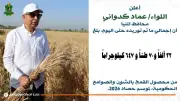 محافظ المنيا: توريد 32 ألف طن قمح ضمن موسم 2026 حتى صباح الخميس