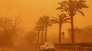 عودة الرياح المثيرة للرمال والأتربة على مناطق مصرية.. هل تتجدد العواصف الترابية؟