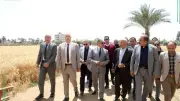 محافظ الشرقية يتفقد حصاد القمح في بلبيس ويوجه بتذليل العقبات أمام المزارعين