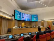 مصر تتبنى استراتيجية مرنة للتعامل مع التوترات الجيوسياسية في الزراعة