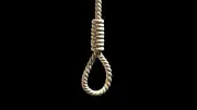 محكمة جنايات المنصورة تصدر حكم الإعدام شنقاً على قاتل شقيقه في مركز الجمالية