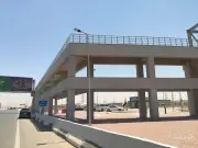 شريان جديد للحياة.. الطريق السياحي يتزين لاستقبال زوار الأهرامات والمتحف الكبير فيديو