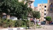 رئيس مدينة دمنهور يتابع أعمال رفع كفاءة المسطحات الخضراء