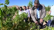 محافظ جنوب سيناء يتفقد مزارع متضرري السيول بوادي سعال ويوجه بدعم عاجل