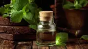 طرق استخدام زيت النعناع لتسليك الأنف وتهدئة أعراض البرد والكحة للأطفال