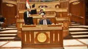 الهريدي تطالب بموقف حكومي حاسم لمنع إعلانات المراهنات في الملاعب المصرية