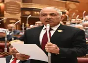 وكيل مجلس الشيوخ: تعديل قانون التأمينات الاجتماعية يرضي كل أصحاب المعاشات