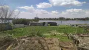 مركز منوف: إخلاء محاصيل ومعدات من طرح النهر بسبب ارتفاع منسوب المياه