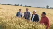 زراعة الشرقية تكثف ندواتها لدعم المزارعين وتحسين الإنتاج الزراعي