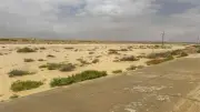 وزير الري يوجه بمتابعة فورية للأمطار والسيول في شمال سيناء