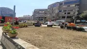 زراعة نبات النيل الأبيض في ميدان لبنان ضمن خطة تجميل شوارع الجيزة