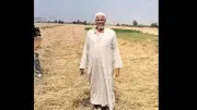 تفاصيل سرقة فدانين قمح بالزقازيق وضبط المتهمين