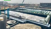 حدائق العاصمة تكشف أسباب الروائح الكريهة وموعد التخلص منها