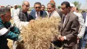 محافظ القليوبية يتفقد حصاد القمح ويؤكد دعم الدولة للمزارعين لتحقيق الأمن الغذائي