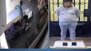 ضبط لص سرق هاتفين من مطعم بالمنوفية بعد تداول فيديو
