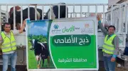 خطة لتوزيع آلاف الأضاحي على الأسر الأولى بالرعاية في الشرقية